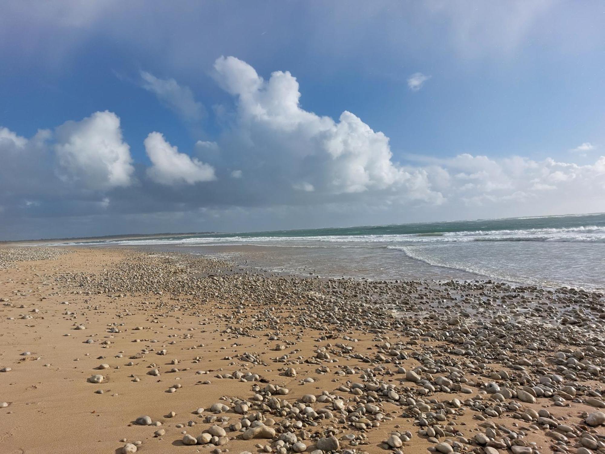 Maison A 8 Min A Pied De La Plage Avec Jardin Clos Et Ombrage Сен-Жорж-д'Олерон Экстерьер фото